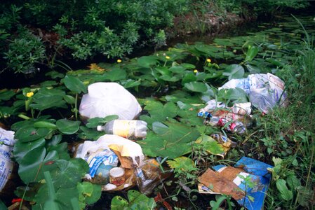 Aquatic area crops