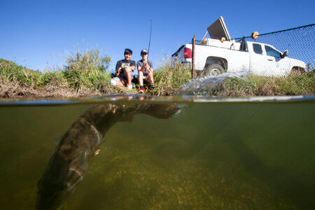 Young boys fishing for Smallmouth bass-1 photo