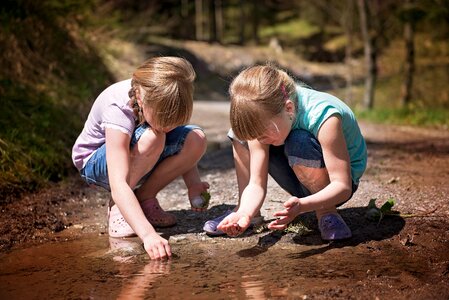 Puddle water tadpoles photo