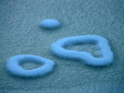 Frozen love cold