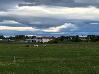 Icelandic Landscape