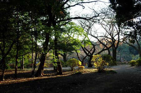 3 Shinjuku Gyoen