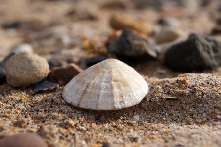 Sand scotland water