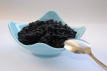 Black Caviar photo