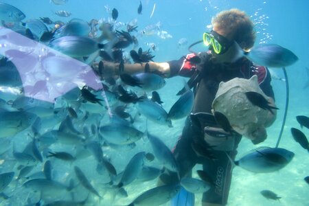 Deep dive diver photo