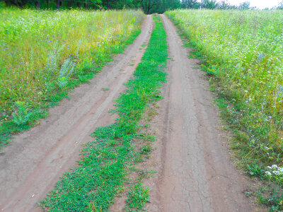 Country road