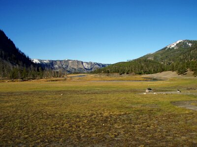Meadow, Madison Junction, Yellowstone National Park