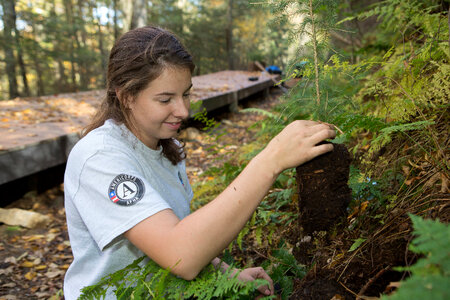 Americorps volunteer plants tree