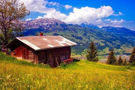 Barn cabin grass