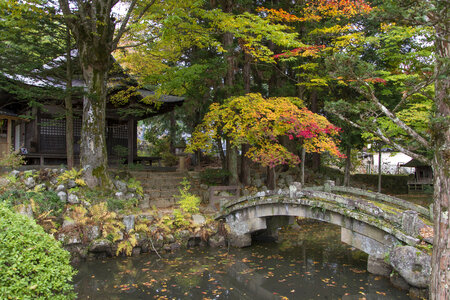 A buddhist temple in the forest in Nara, Japan photo