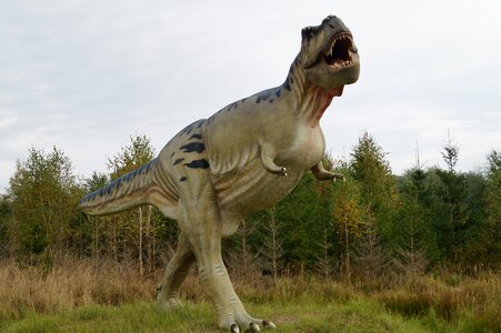 Dinosaur dangerous predator photo