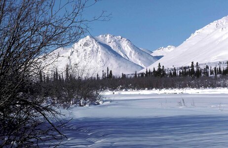 Border forest scenic