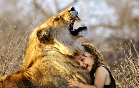 Lion Animal Young girl photo