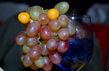 Ripe wine glass liquid