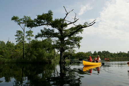 Peaceful day on the water
