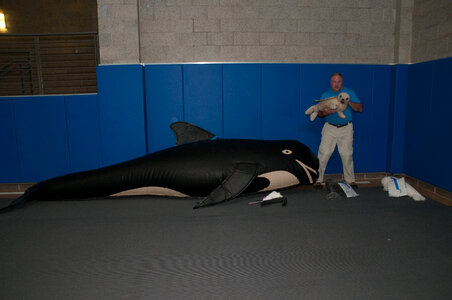 Marine Mammal Stranding Course at NCTC-2