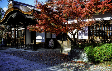  Gate with a karahafu roof in Kyoto, Japan