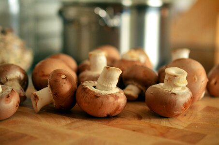 Beautiful Photo cooking food