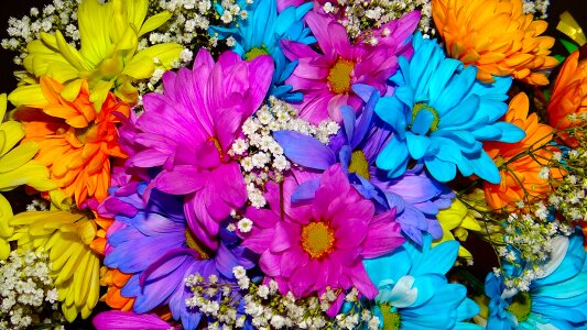 Bright turquoise pink