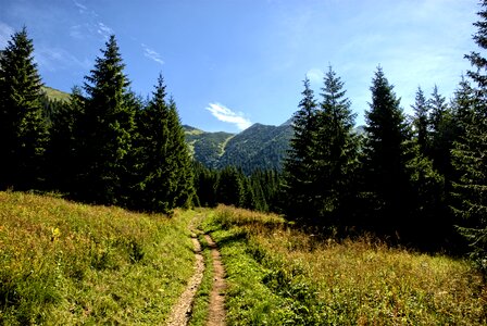 Top view mountains view photo