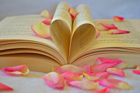 Beautiful Photo literature love
