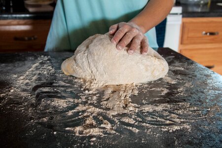 Dough fresh wheat