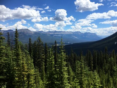 Hiking the Plain of Six Glaciers Trail photo