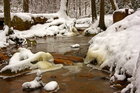 Ice snow forest photo