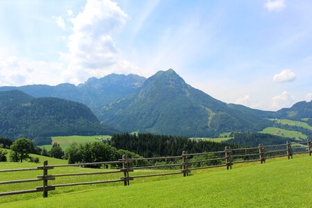 Pasture land fence austria photo