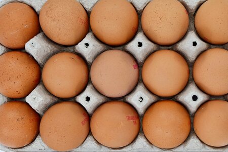 Aerial egg egg box photo