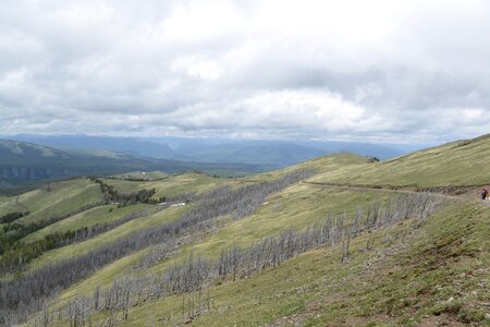 Mount Washburn Trail, Yellowstone National Park