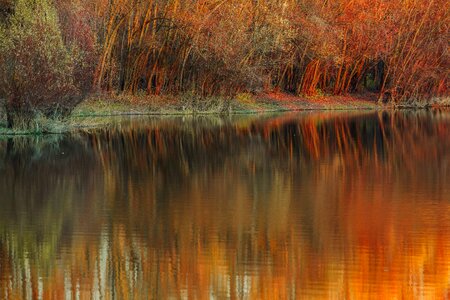 Autumn Season water reflection photo