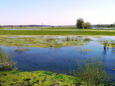 Sky clouds wetlands photo