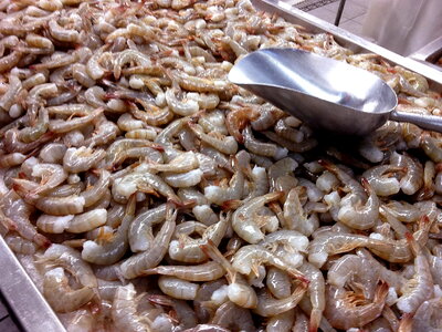 Market prawn 