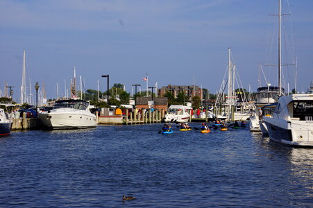 Annapolis Canoe and Kayak