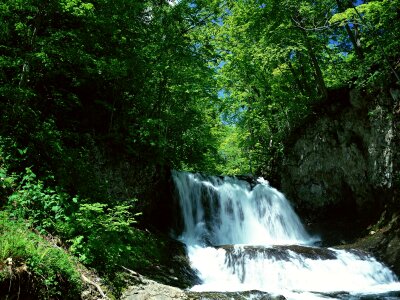 Waterfall in deep green forest photo