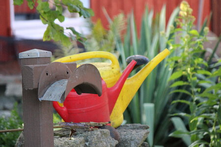 Watering cans in the garden