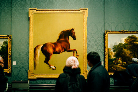 Looking at art