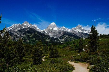 North Fork Cascade Canyon in Grand Teton National Park photo