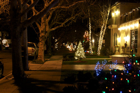 Willow Glen Christmas Lights in San Jose, California photo