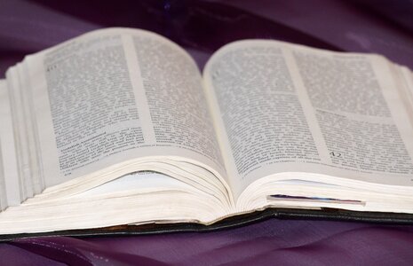 Book read font