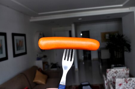 Fork sausage 
