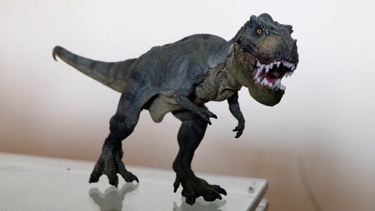 Toy dinosaur t-rex photo