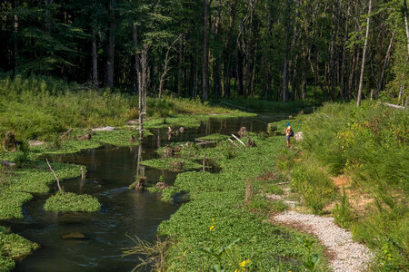 Hatchery Creek extension with fisherman photo