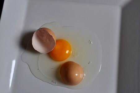 Chicken egg 