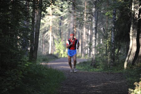 Forest finland competition photo