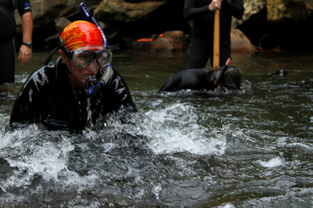 Snorkeling for Eastern hellbenders