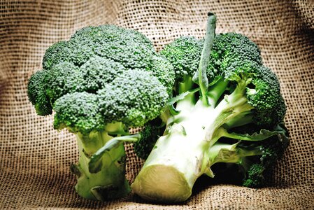 Beautiful Photo broccoli dark green