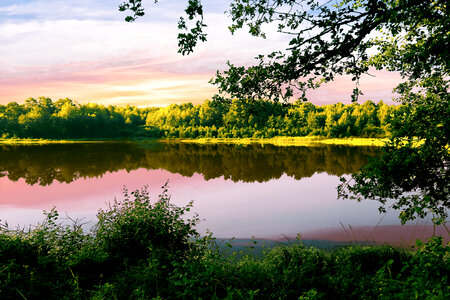 Pond in Sunrise landscape photo