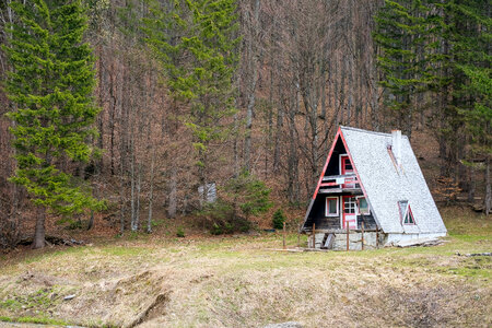 Abandoned Cabin in the Woods photo